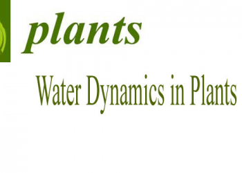 Water Dynamics In Plants; Water In Plant Life, Aquaporins, Properties Of Water, An Excellent Solvent. Semester-1 Applied Biosciences, Plant Physiology