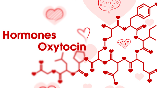 Hormones-Oxytocin