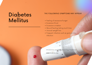 Diabetes Mellitus Introduction-Pathophysiology-Treatment