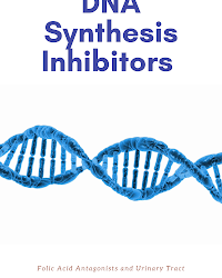 DNA Synthesis Inhibitors, Folic Acid Antagonists and Urinary Tract Antiseptics