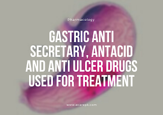 Gastric Anti Secretary, Antacid and Anti Ulcer Drugs Used for Treatment