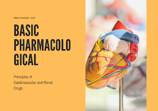 Understand the Basic Pharmacological Principles of Cardiovascular and Renal Drugs