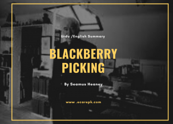 Blackberry Picking Poem Summary By Seamus Heaney’s Urdu Translation, Themes, Analysis
