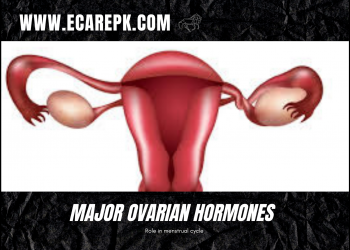 Major ovarian hormones and their Role in Menstrual Cycle