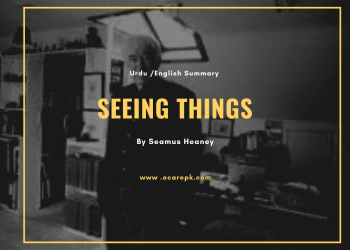 Seeing Things Poem Urdu // English Summary By Seamus Heaney’s