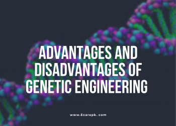 Advantages and Disadvantages of Biotechnology and Genetic Engineering