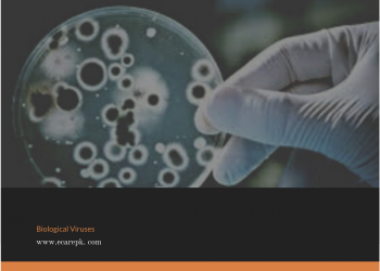 Biological Viruses Is Your Worst Enemy, Different Ways To Defeat It