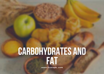 Some Interesting Uses of Carbohydrates and Fat for Human Body and How to Balance It