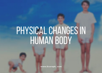 The Physicals Changes in Human Body and How Human Body Developed Child To Adult