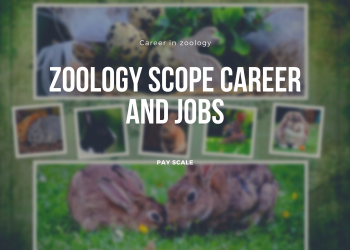 What is Zoology Scope Career and Jobs in Field of Zoology