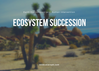 Ecosystem Succession Present on Earth Environment and Human Intervention