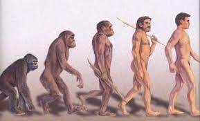 History of Hominids 6 to 8 million years ago – Early Hominids