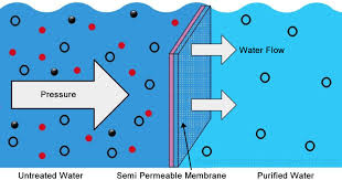 Osmosis and Their Types // Glands and Its Two Types with Example