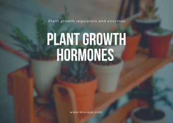 Plant Growth Hormones and Plant Growth Regulators and Enzymes