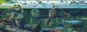 Producers and Consumers in Fresh Water