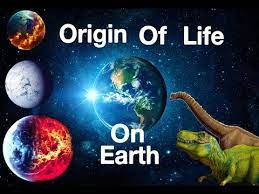 The Life Origin on Earth and Beginning of Evolution