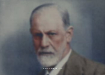 Theory of Sigmund Freud and Carl Gustav Jung about Brain // Differences Between Jung and Freud, Neurology