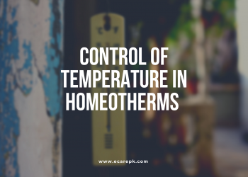 Control of Temperature in Homeotherms and Restorative Mechanisms in Temperature Control