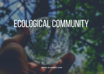 Detail about Ecological Communities and their Local area Dynamics and Patterns // Rainforest Stratification