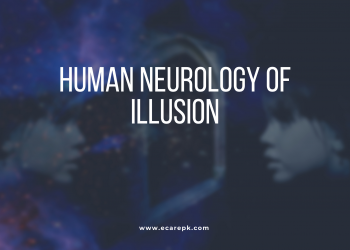 Human Neurology of Illusion and Types of Illusion // The Study of Illusions