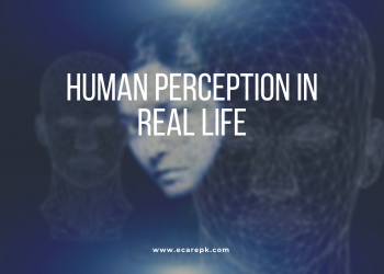 Human Perception in Real Life and Spatial Awareness // Neurology