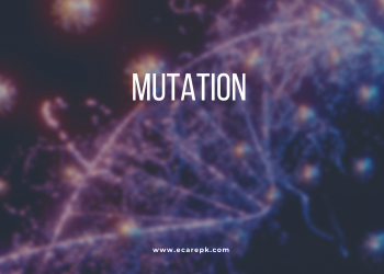 Mutation and Types of Mutation // Hereditary Engineering and Malignancy