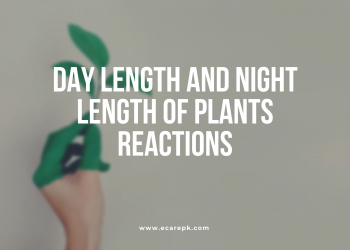 Reacting to Day Length and Night Length // Phytochrome Guideline in Plants