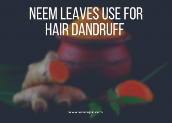 The Use of Neem Leaves For Hair Dandruff // How to Use Neem For Hair
