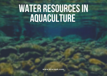 Water Resources in Aquaculture and Main Types of Water Supply in Aquaculture