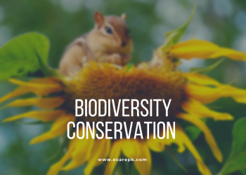 Biodiversity Conservation What Reason Should we Conserve Biodiversity ? Legal and Non Legal Bindings of Biodiversity