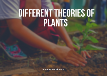 Different Theories of Plant Senescence and Advantages of Plant Hereditary Yearly Versus Perpetual Advantages –