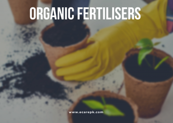 Organic Fertilizers and Fish Feed // Use of Fertilizer in Fish Pond