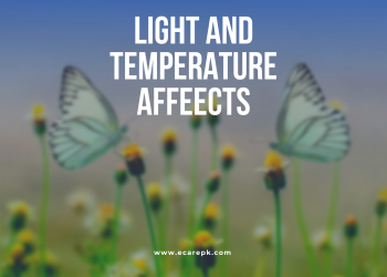 The Affect of Light and Temperature on Animals and their Mode of Variations