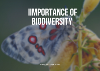 The Importance of Biodiversity and The Association for Geographical Studies // Dangers to Biodiversity