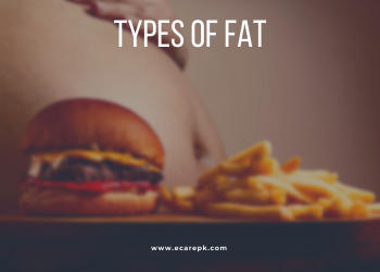 Types of Fat and their Effect on your Wellbeing and Health // Diet and cholesterol