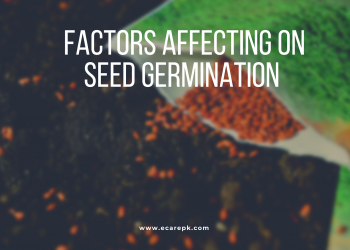 What Factors Affecting on Seed Germinations Seed Lethargy