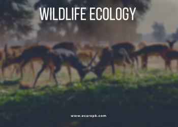 Wild Life Ecology Natural Life Ecosystem with Biotic and A Biotic Factors