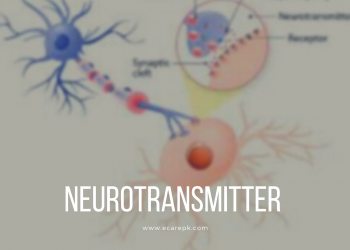 The Synapse and Neurotransmitter Brief Depiction of Various Synapses is Given Beneath