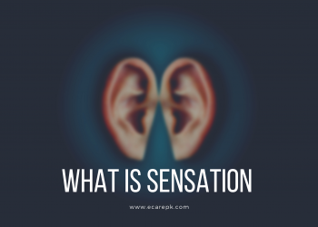 What is Sensation? Sensation and Perception with Sensory Thresholds