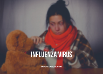 Flu or Influenza Virus in Winter Season, Types, Symptoms, Precautions and Treatments