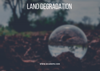 Land Degradation: What it Is, What Causes It, and How to Prevent It