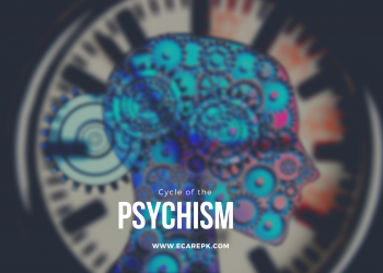 The Cycles of the Psychism and The Responses to the World as Structuring Compensations