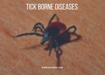 A Survey Based Study Knowledge, Attitude and Practices About Tick and Tick Borne Disease in Herdsmens