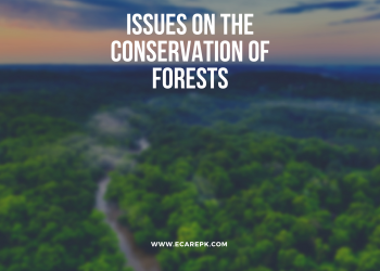 Central issues on Conservation of Forest and Wildlife What Steps Ought to be Taken to Preserve Woods?
