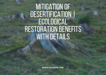 Mitigation of Desertification | Ecological Restoration Benefits with Details