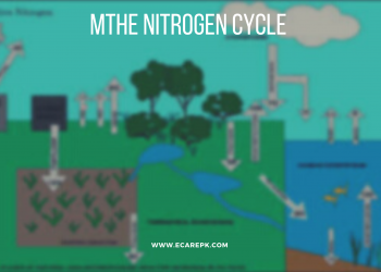 The Process of Nitrogen Cycle their Advantages Disadvantages and Bio-manures , Excrement: