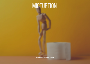 What is Micturition? Issues Associated With Micturition with The executives of Micturition Disorders